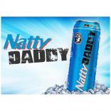 Anheuser-Busch - Natty Daddy 25 oz 15 pk 0 (251)
